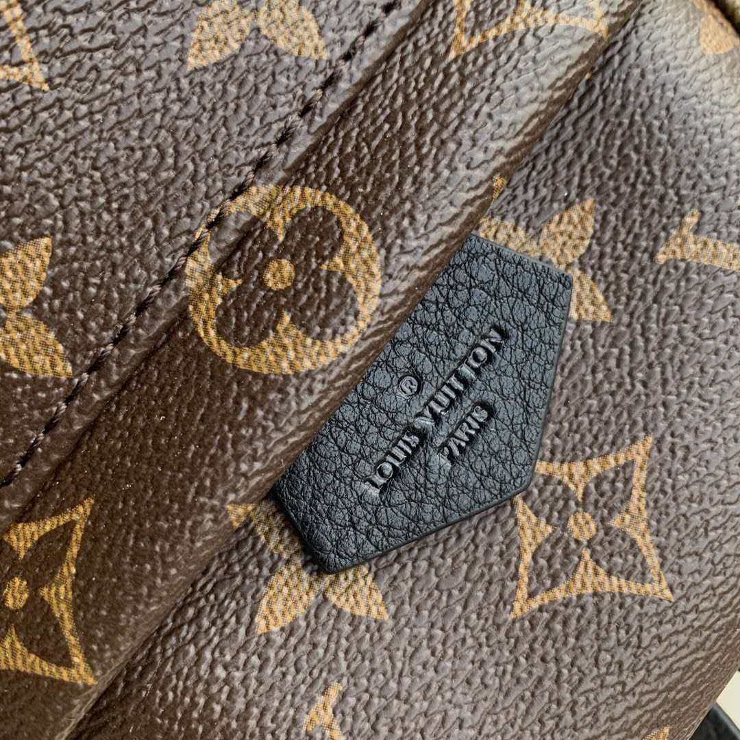 #m44873 l**is V*t*n 2020 monogram canvas palm springs mini backpack