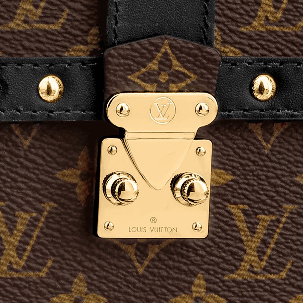 #M63913 Monogram Canvas Vertical Trunk Pochette