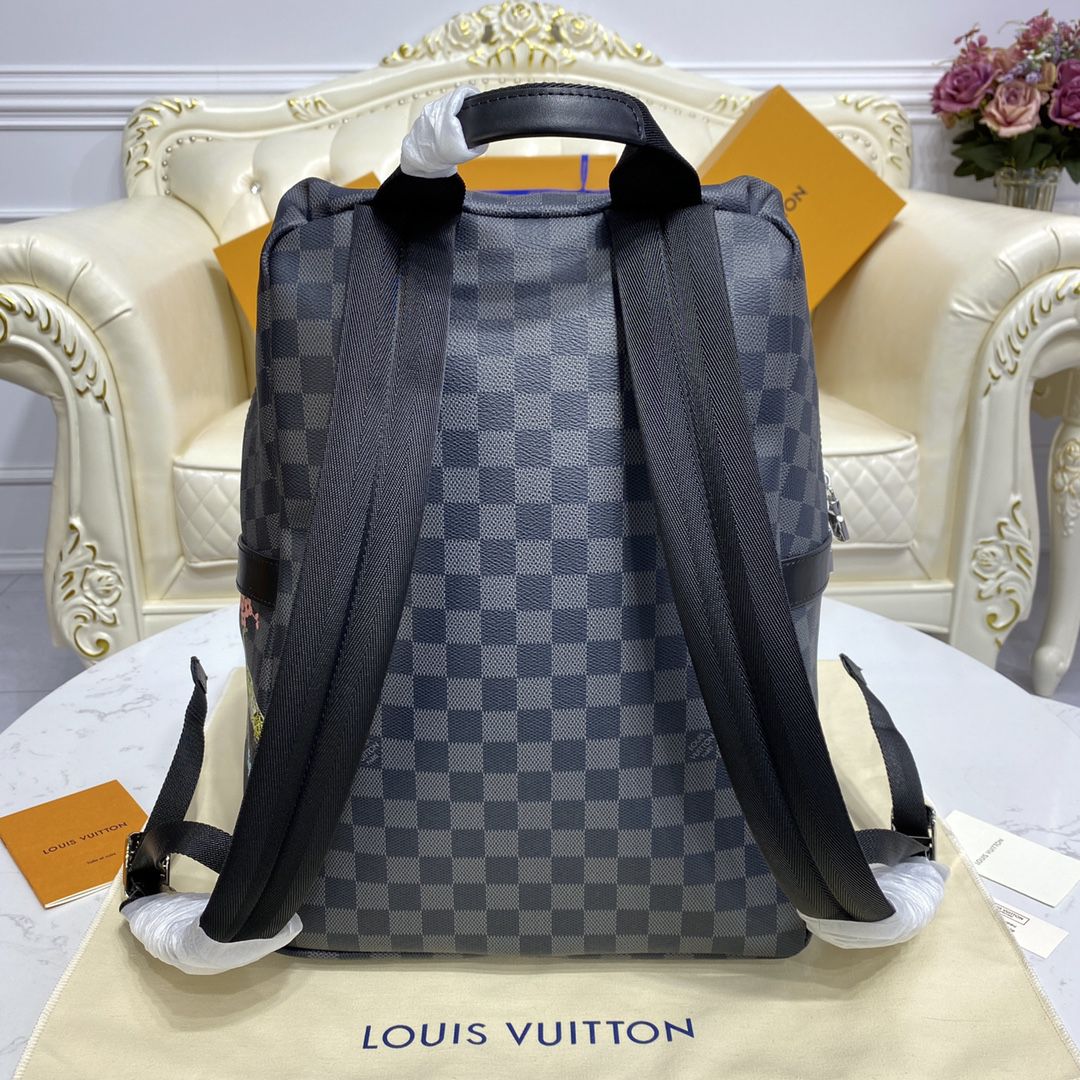 #n45275 l**is V*t*n damier graphite discovery backpack